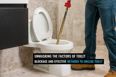 Unclog toilet